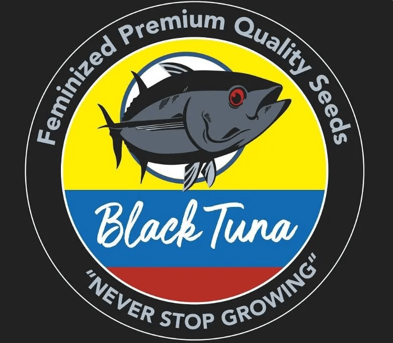 BLACK TUNA